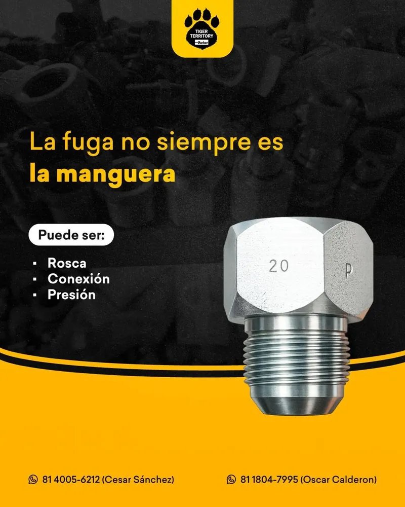 Anuncio de Tiger Territory